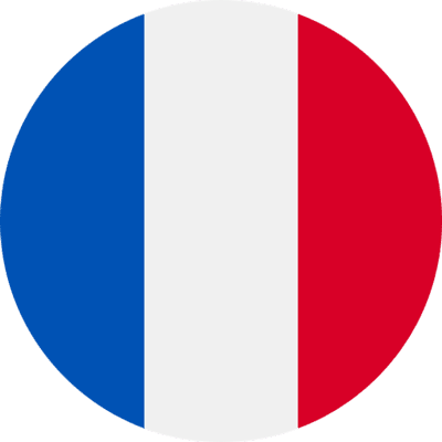 Flag France Icon